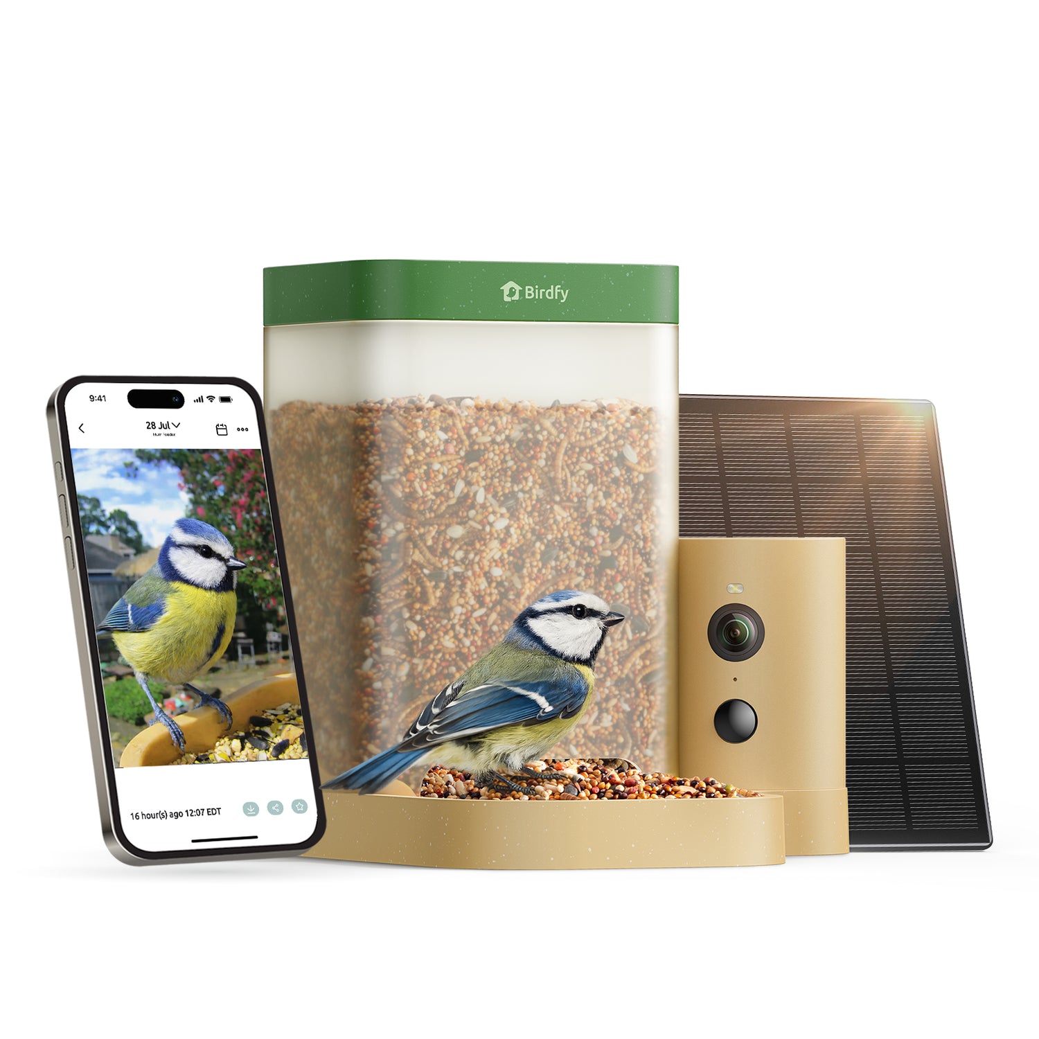 Birdfy Feeder Rookie - Mangeoire à Oiseaux Connectée Facile pour Débutants