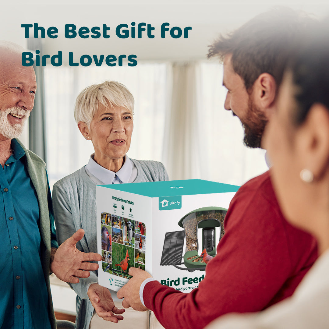 Birdfy Feeder 2 Pro - Mangeoire pour oiseaux avec Caméra HD