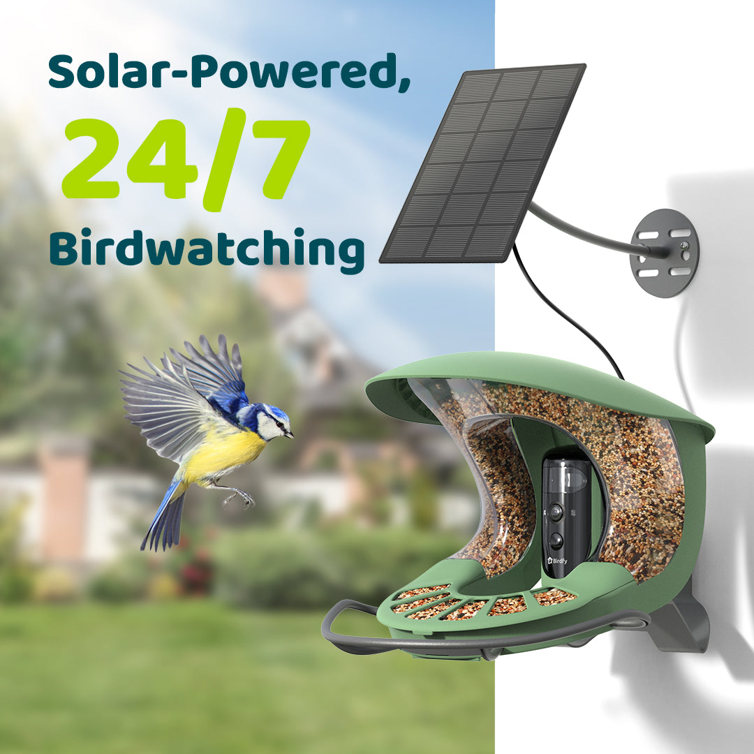 Birdfy Feeder 2 Pro - Mangeoire pour oiseaux avec Caméra HD