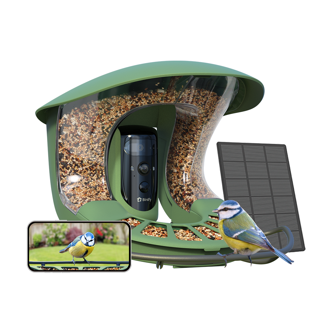 Birdfy Feeder 2 Pro - Mangeoire pour oiseaux avec Caméra HD