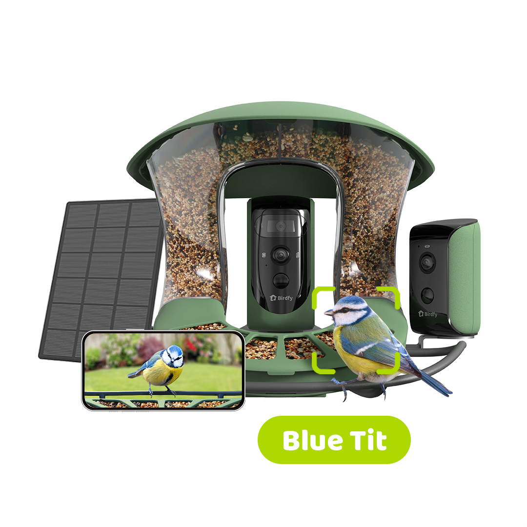 Birdfy Feeder 2 Duo - Bird Feeder Caméra