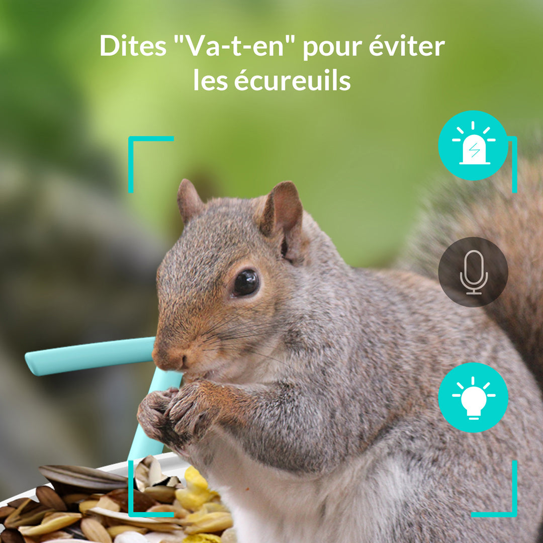 Birdfy Feeder - Mangeoire à Oiseaux avec Caméra
