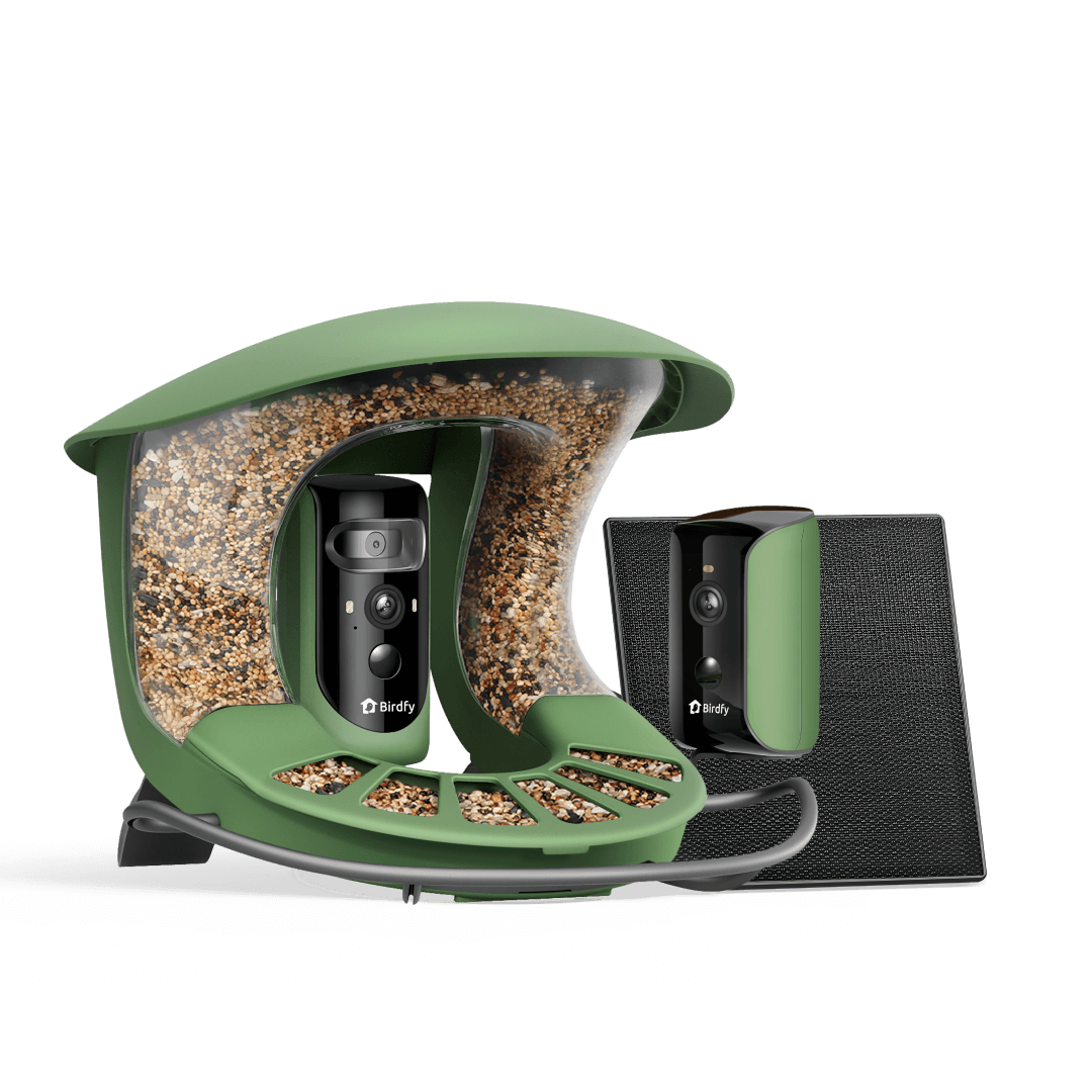 Birdfy Feeder 2 Duo - Bird Feeder Caméra