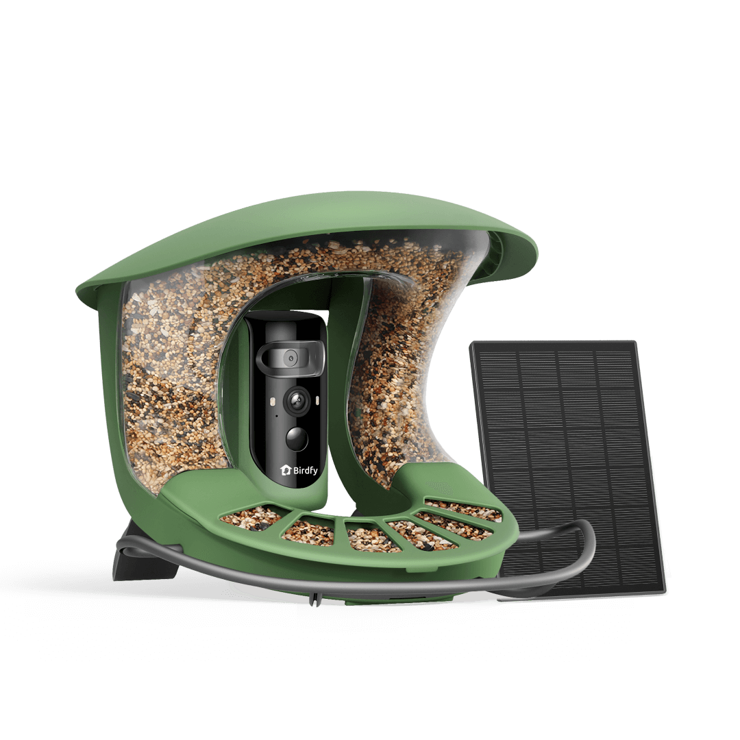 Birdfy Feeder 2 Pro - Mangeoire pour oiseaux avec Caméra HD
