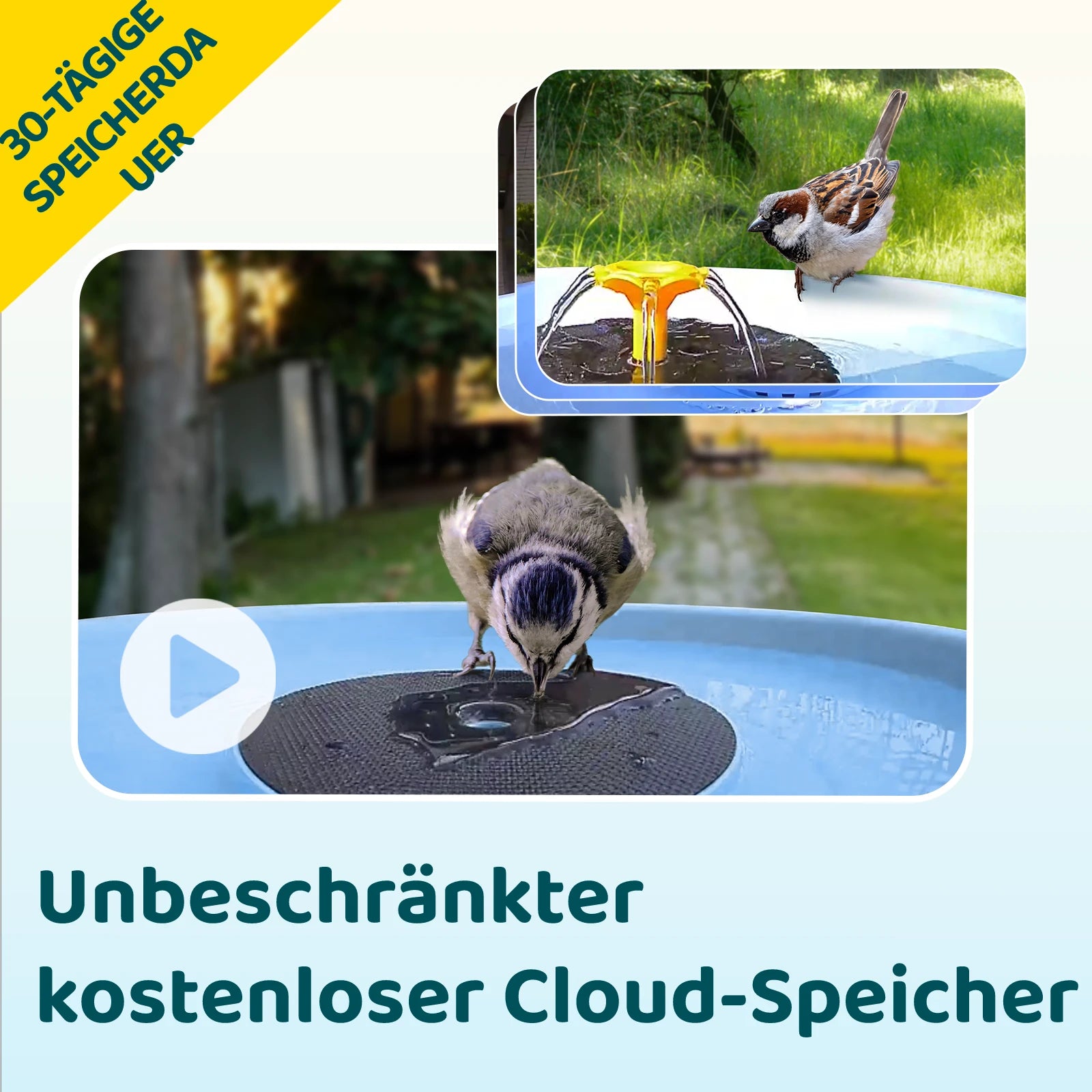 Birdfy Bath Pro
