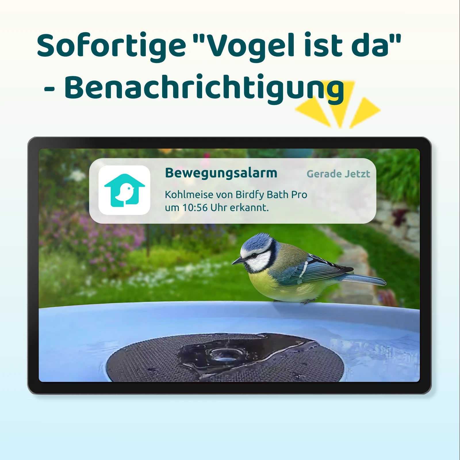 Birdfy Bath Pro