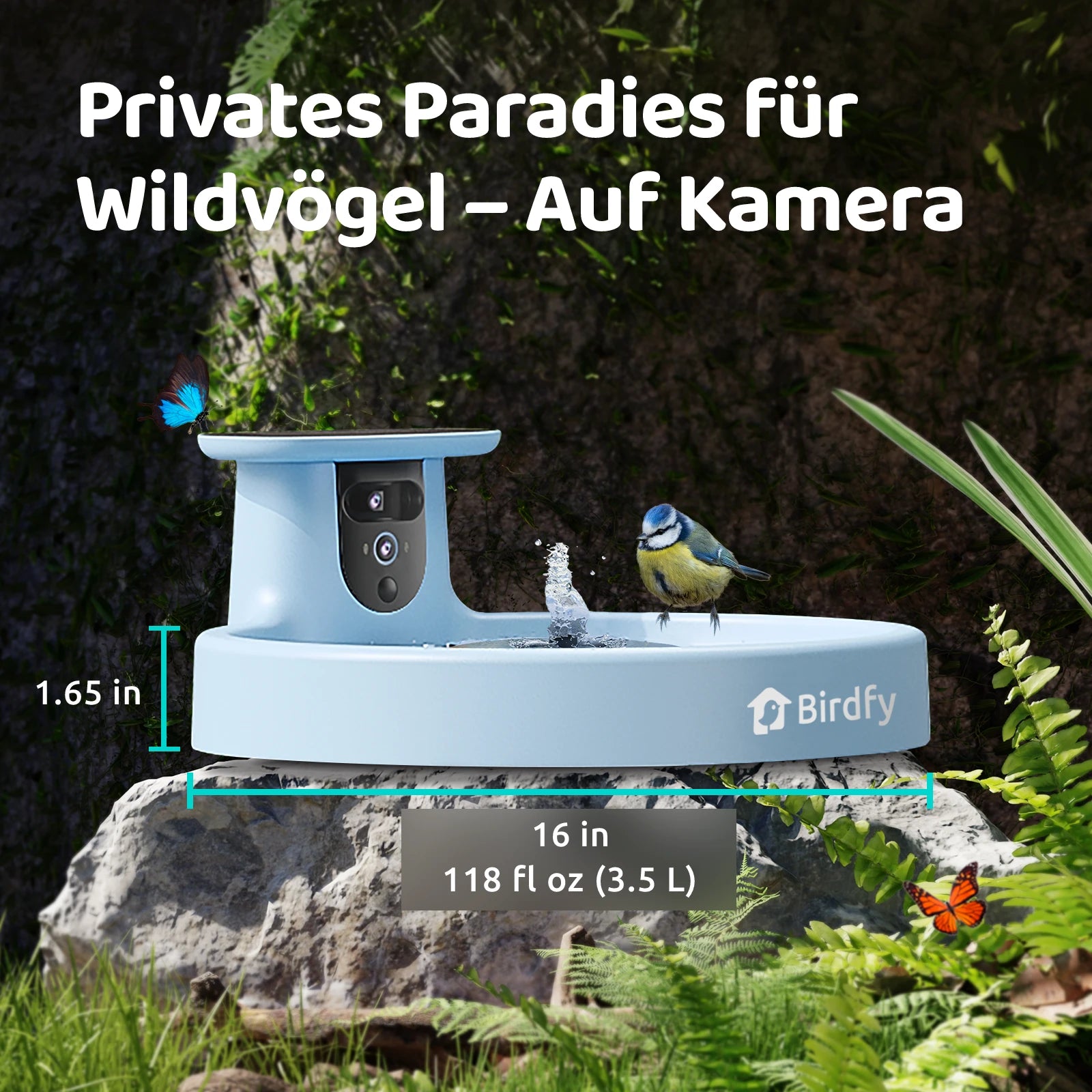 Birdfy Bath Pro