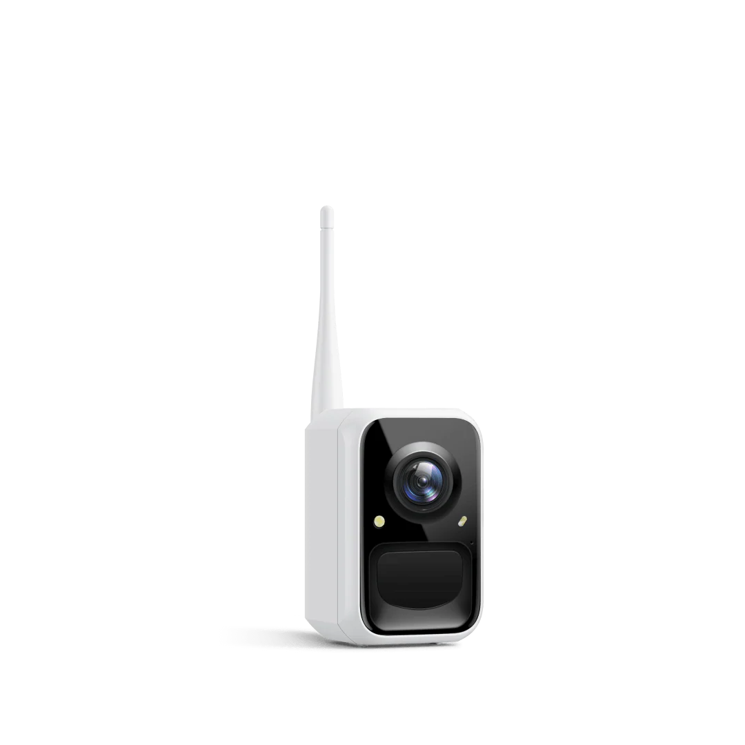 Birdfy Cam
