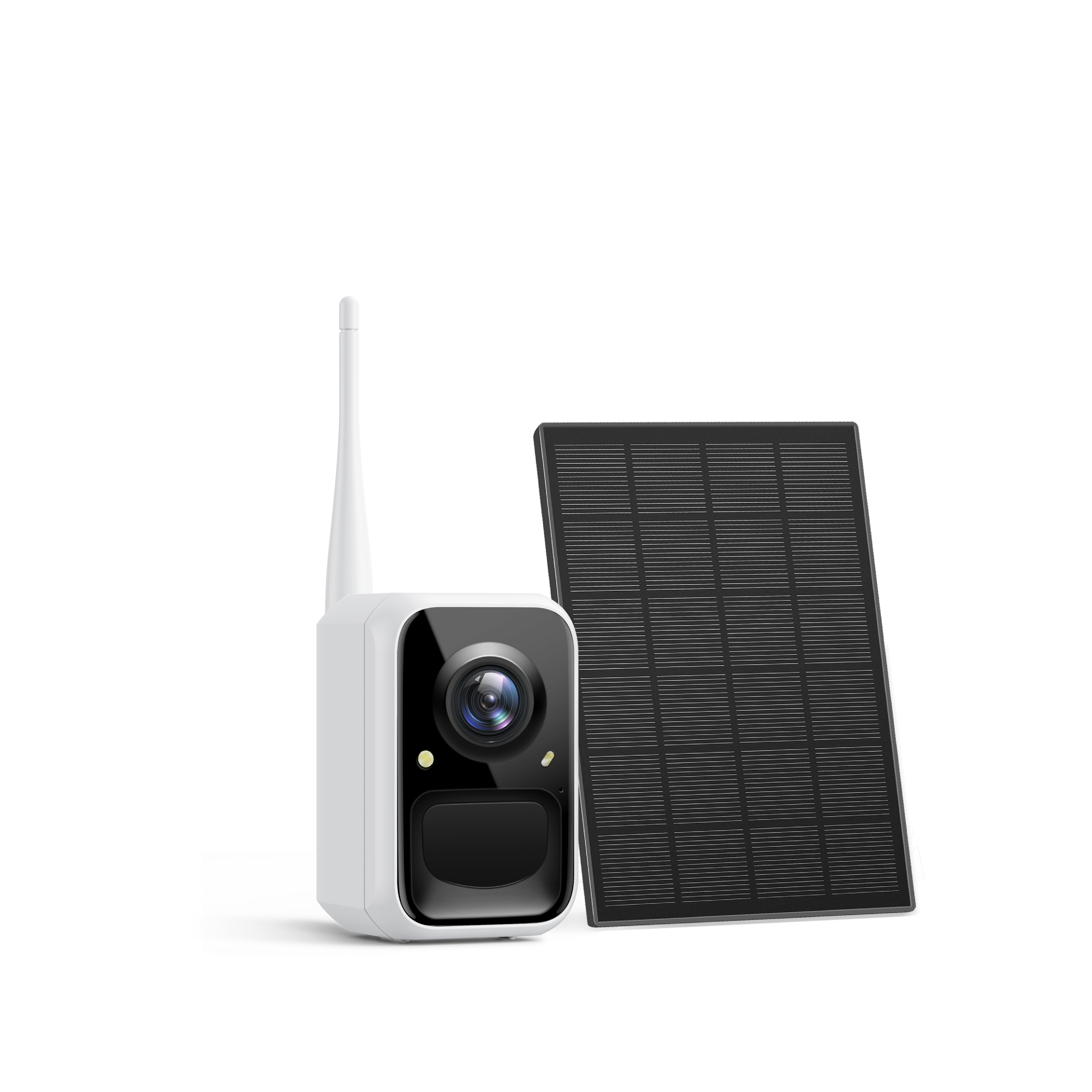 Birdfy Cam - Caméra d'observation des oiseaux polyvalente autonome pour jardin