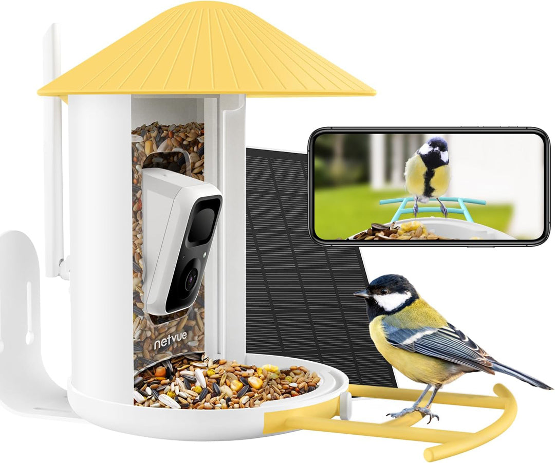 Birdfy Feeder avec panneau solaire - Mangeoire à Oiseaux avec Caméra
