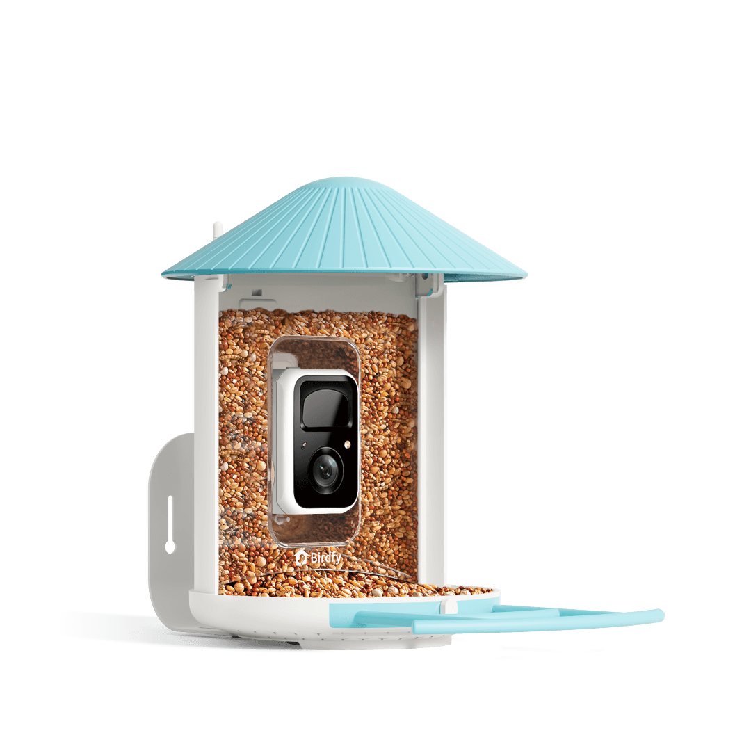 Birdfy Feeder - Mangeoire à Oiseaux avec Caméra