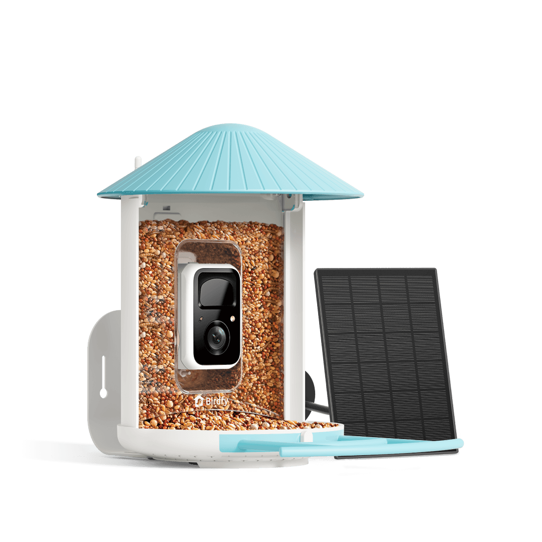 Birdfy Feeder avec panneau solaire - Mangeoire à Oiseaux avec Caméra