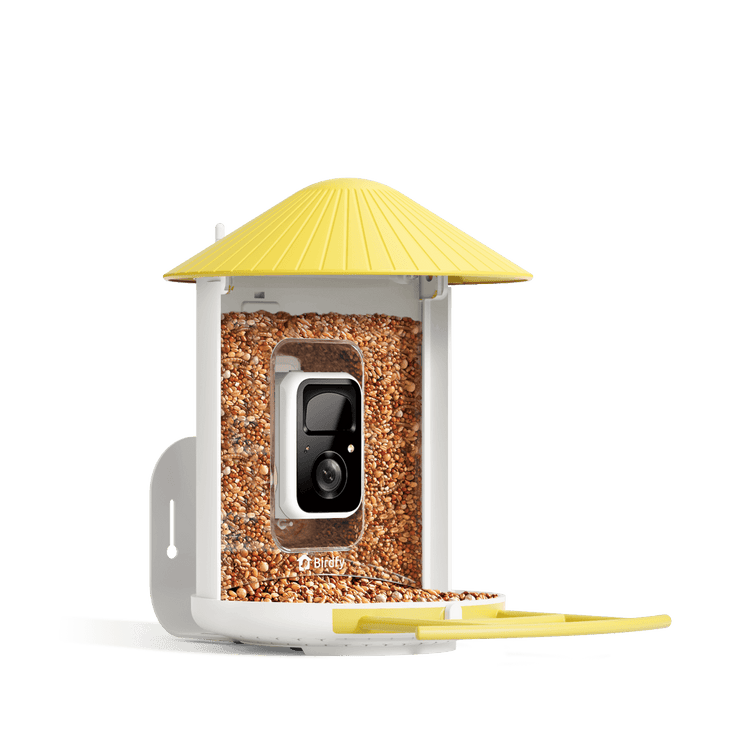 Birdfy Feeder - Mangeoire à Oiseaux avec Caméra