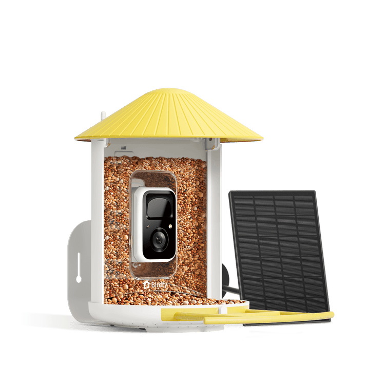 Birdfy Feeder avec panneau solaire - Mangeoire à Oiseaux avec Caméra