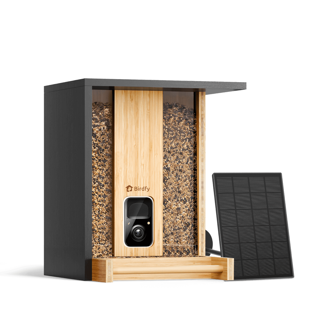 Birdfy Feeder Bamboo - Mangeoire intelligente en matériau éco-responsable