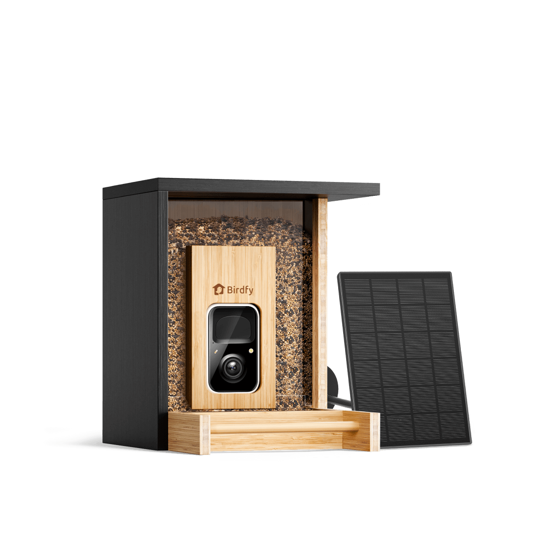 Birdfy Feeder Bamboo Mini - Mangeoire intelligente en matériau éco-responsable