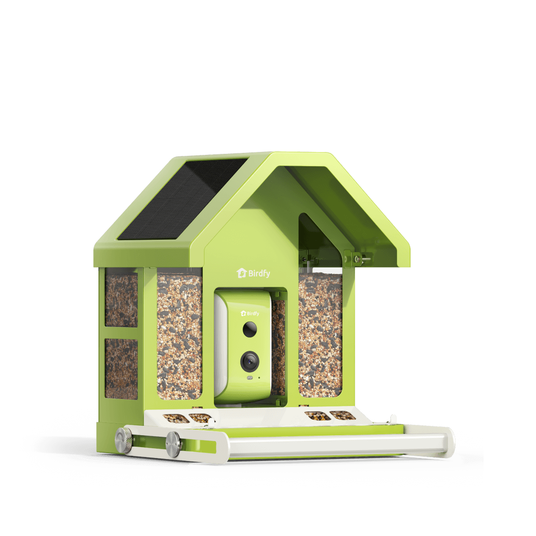 Birdfy Feeder Metal - Mangeoire à Oiseaux avec Caméra