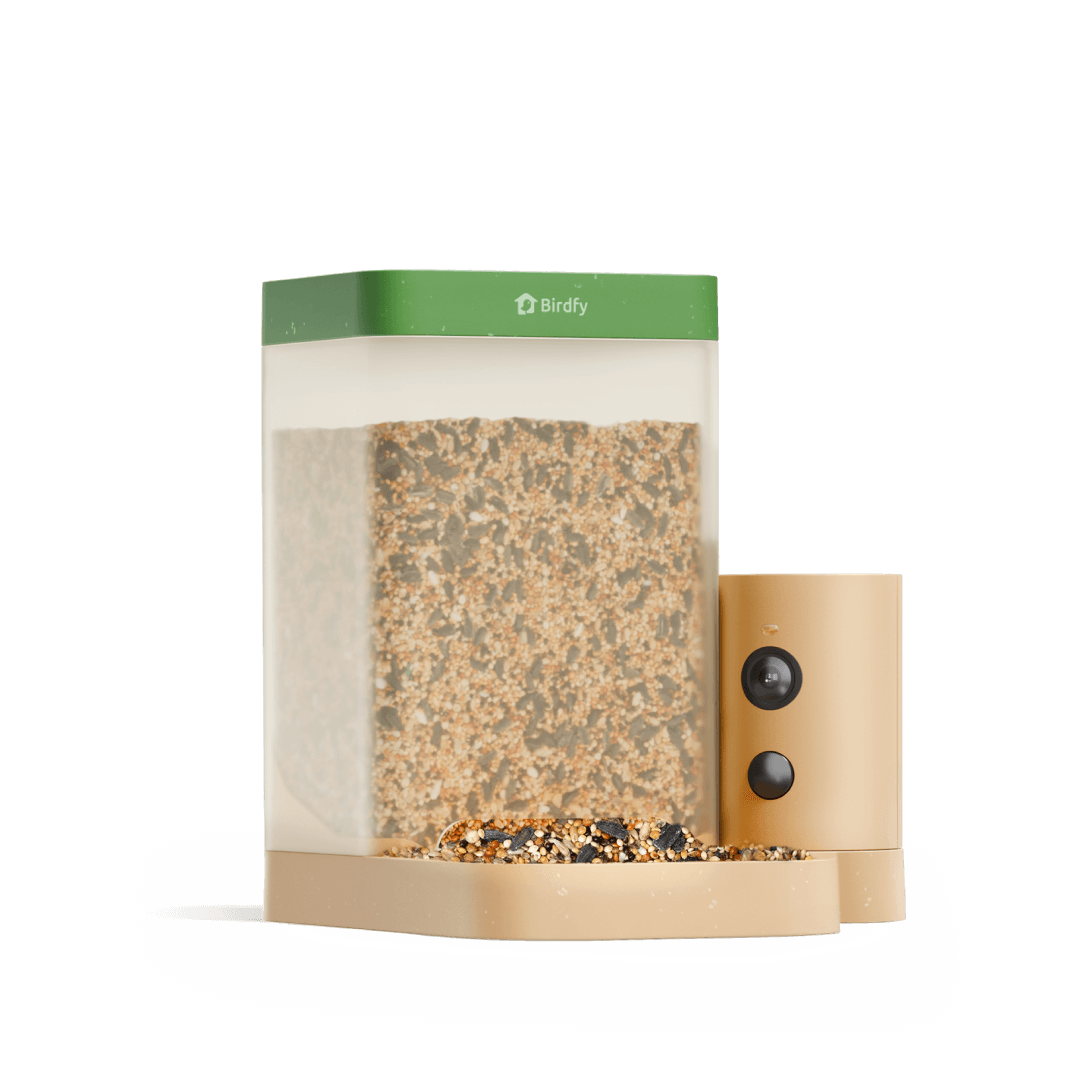 Birdfy Feeder Rookie - Mangeoire à Oiseaux Connectée Facile pour Débutants