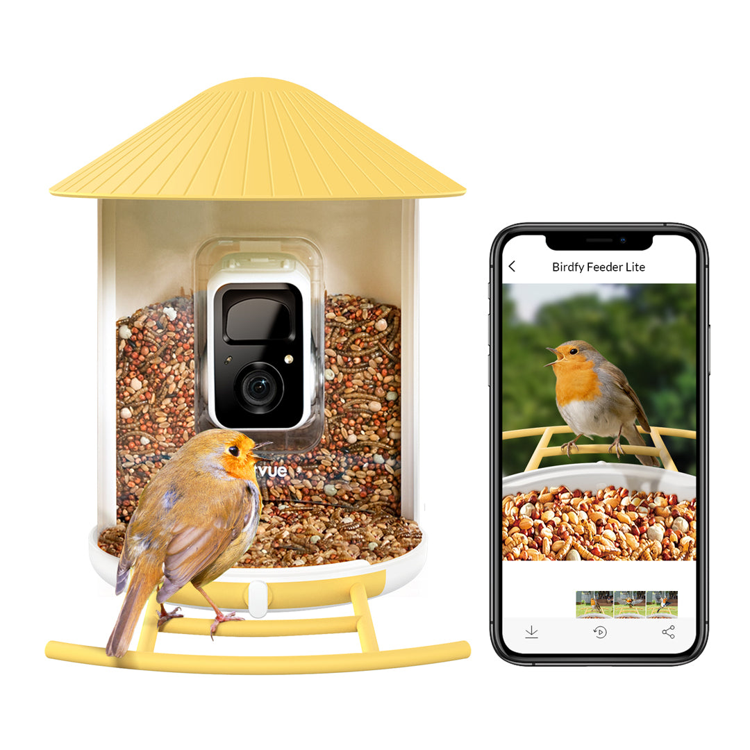 Birdfy Feeder - Mangeoire à Oiseaux avec Caméra