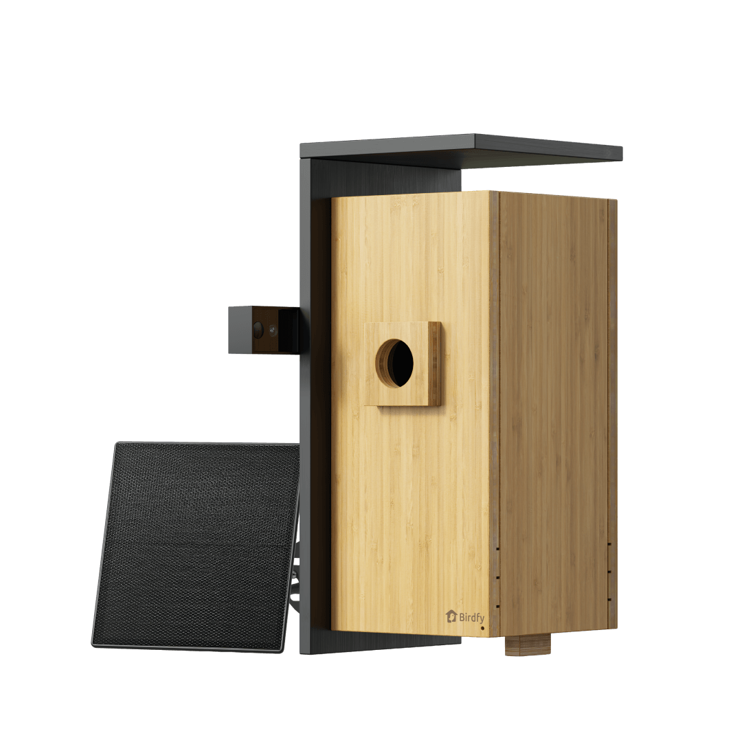 Birdfy Nest Duo – Maison à Oiseaux Intelligente avec Double Caméra