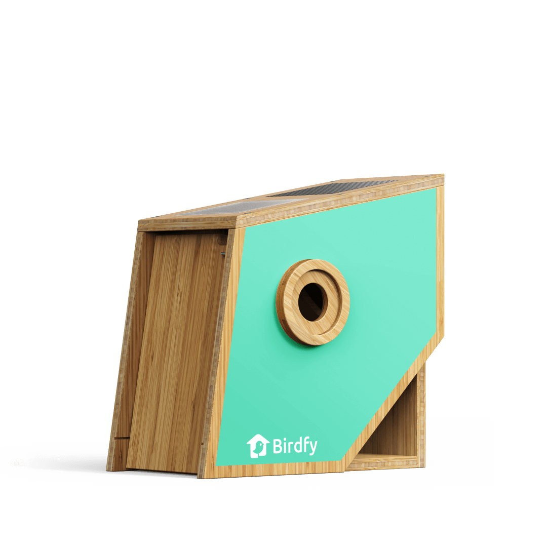 Birdfy Nest Polygon - Nichoir intelligent avec caméra