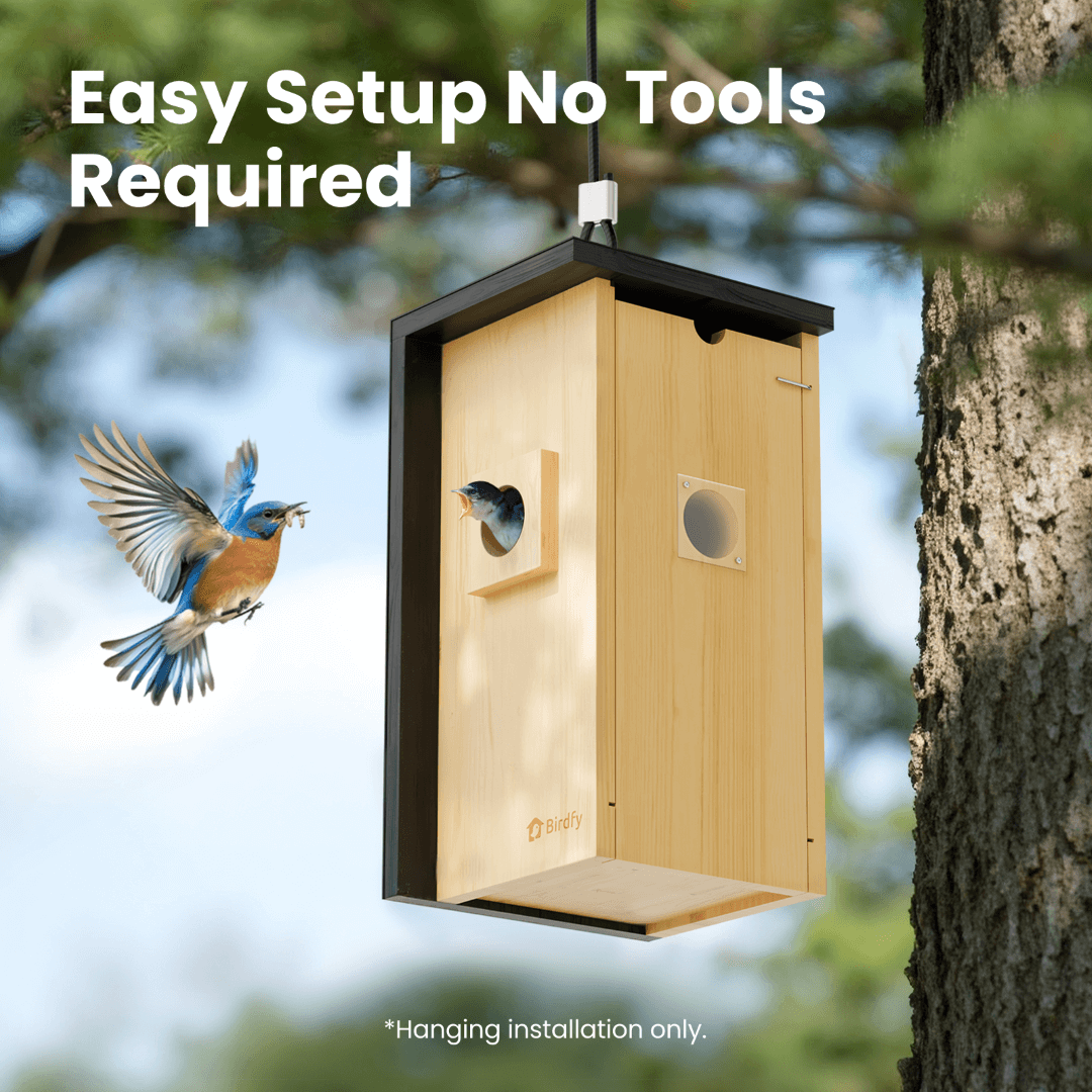 Birdfy Nest - Maison à Oiseaux Intelligente en Bois avec Caméra