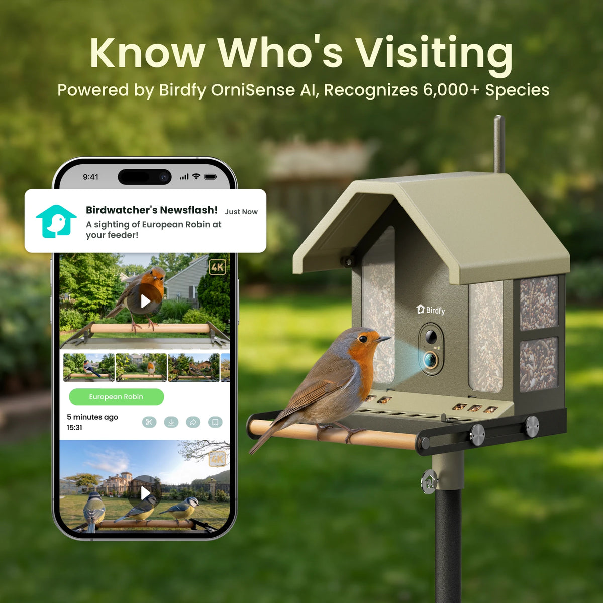 Birdfy Feeder Metal 2 - Mangeoire Métallique Anti‑Rongement 4K Pour Oiseaux