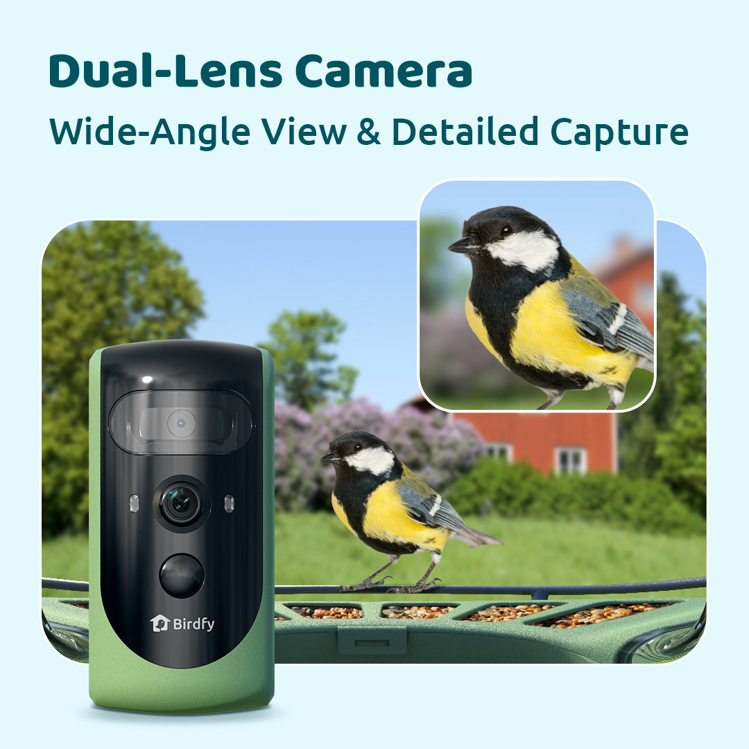 Birdfy Feeder 2 Pro - Mangeoire pour oiseaux avec Caméra HD