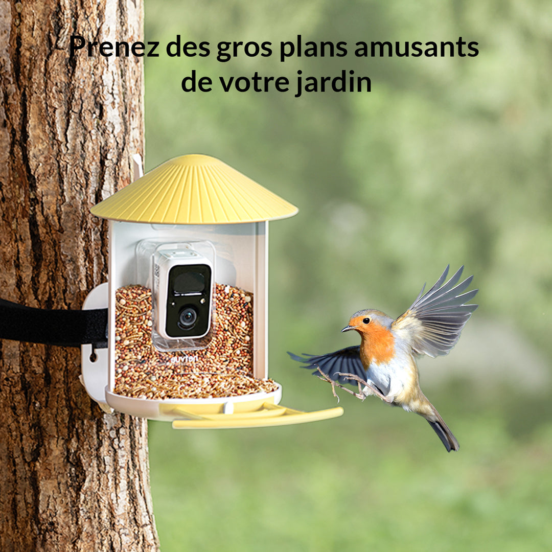 Mangeoire à Oiseaux avec Caméra et Panneaux Solaires, IA en Option