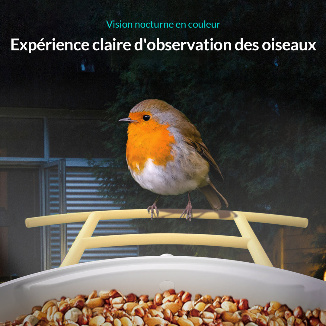 Birdfy Feeder - Mangeoire à Oiseaux avec Caméra