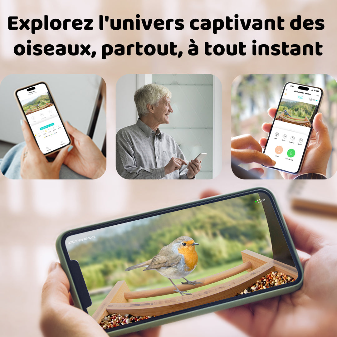 Birdfy Feeder Bamboo - Mangeoire intelligente en matériau éco-responsable