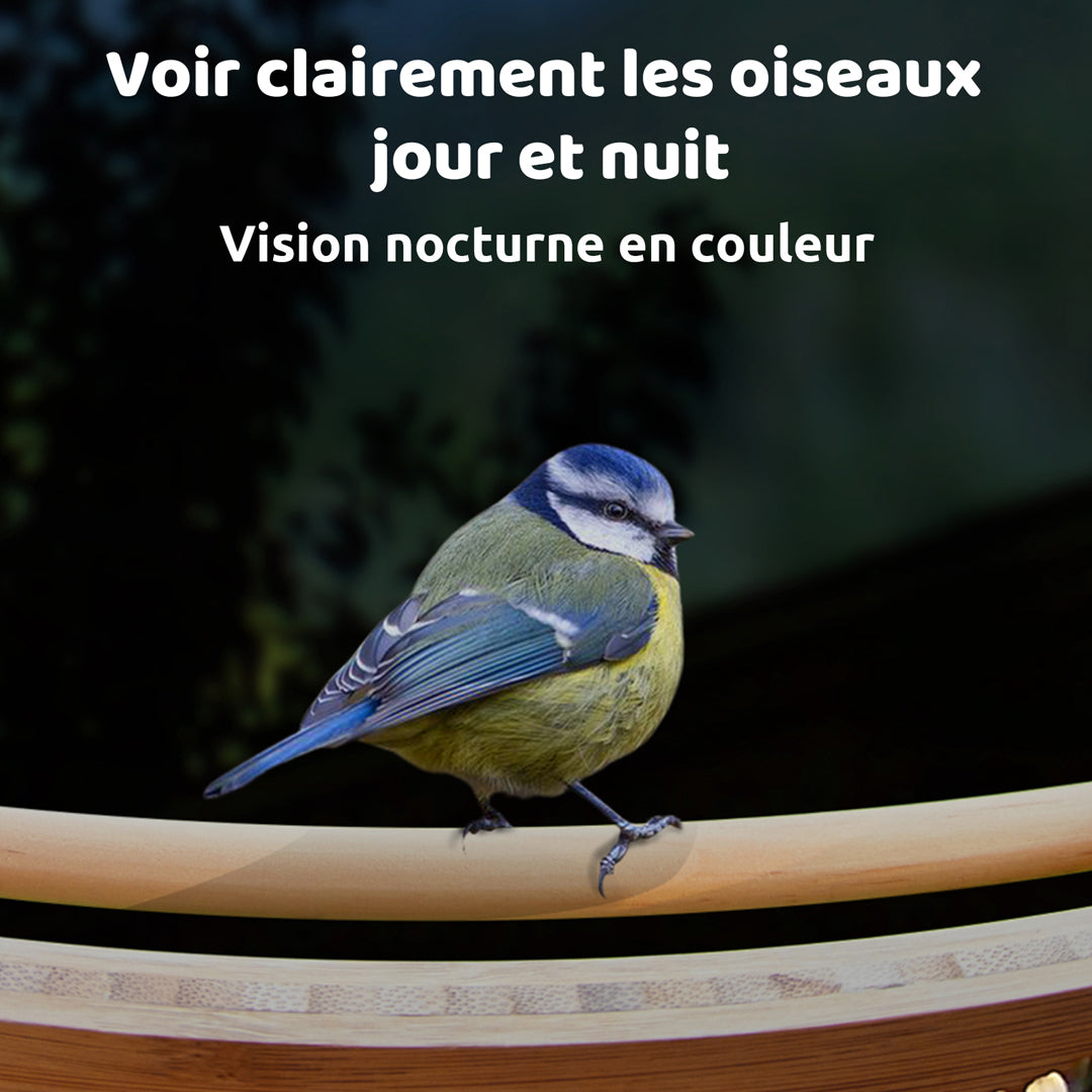 Birdfy Feeder Bamboo - Mangeoire intelligente en matériau éco-responsable
