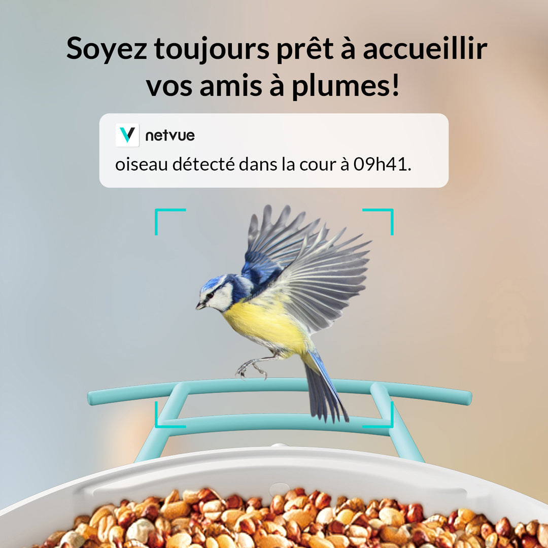 Mangeoire à Oiseaux avec Caméra