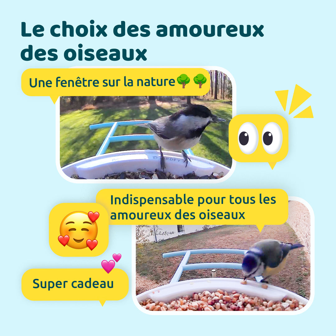 Mangeoire à Oiseaux avec Caméra et Panneaux Solaires, IA en Option