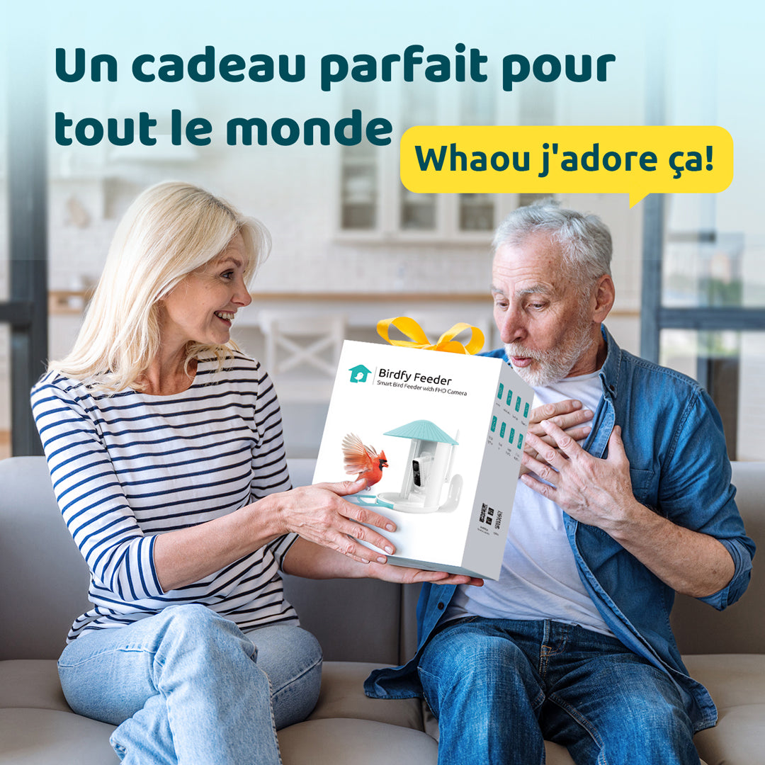 Birdfy Feeder avec panneau solaire - Mangeoire à Oiseaux avec Caméra
