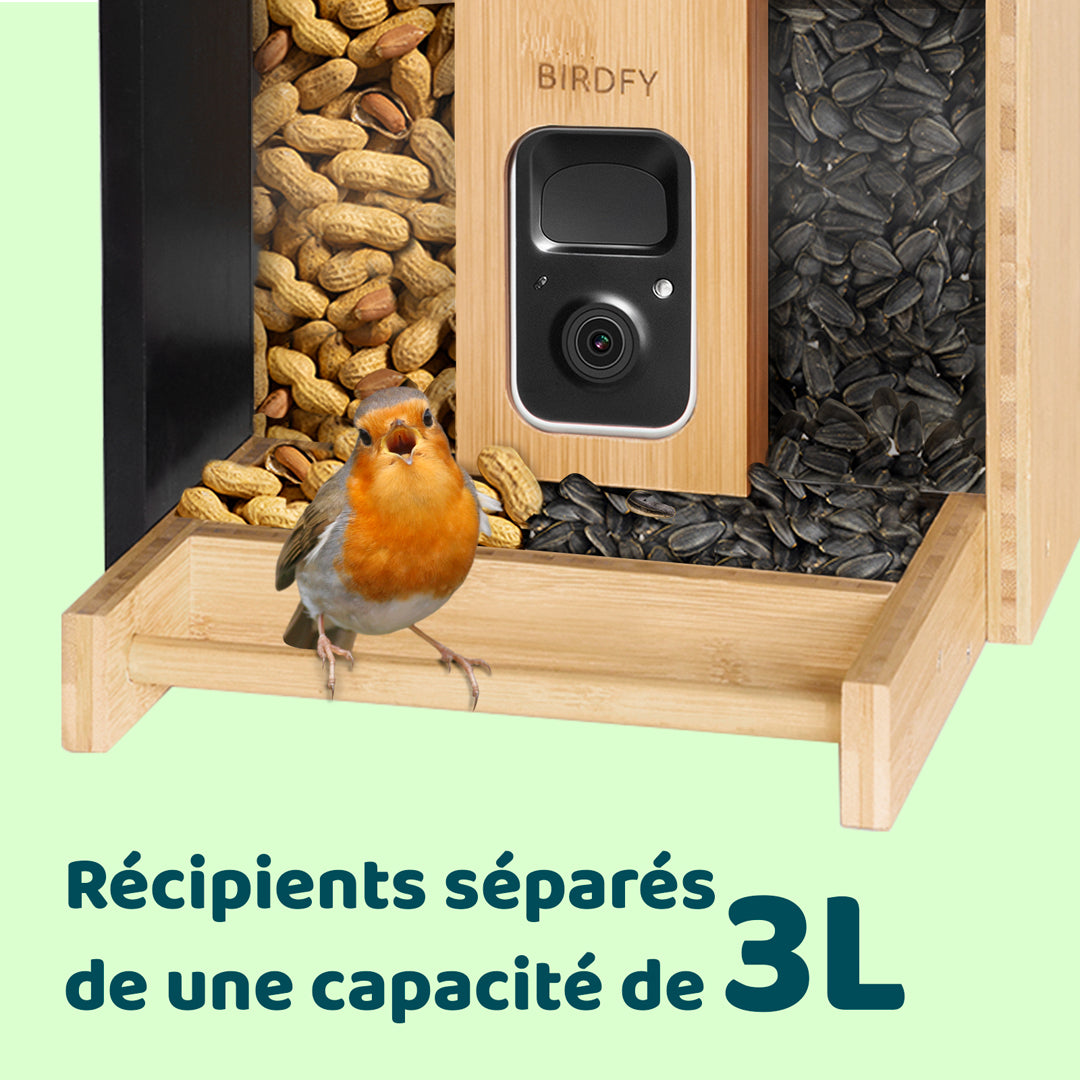 Birdfy Mangeoire à Oiseaux en Bambou avec Caméra et Panneau Solaire