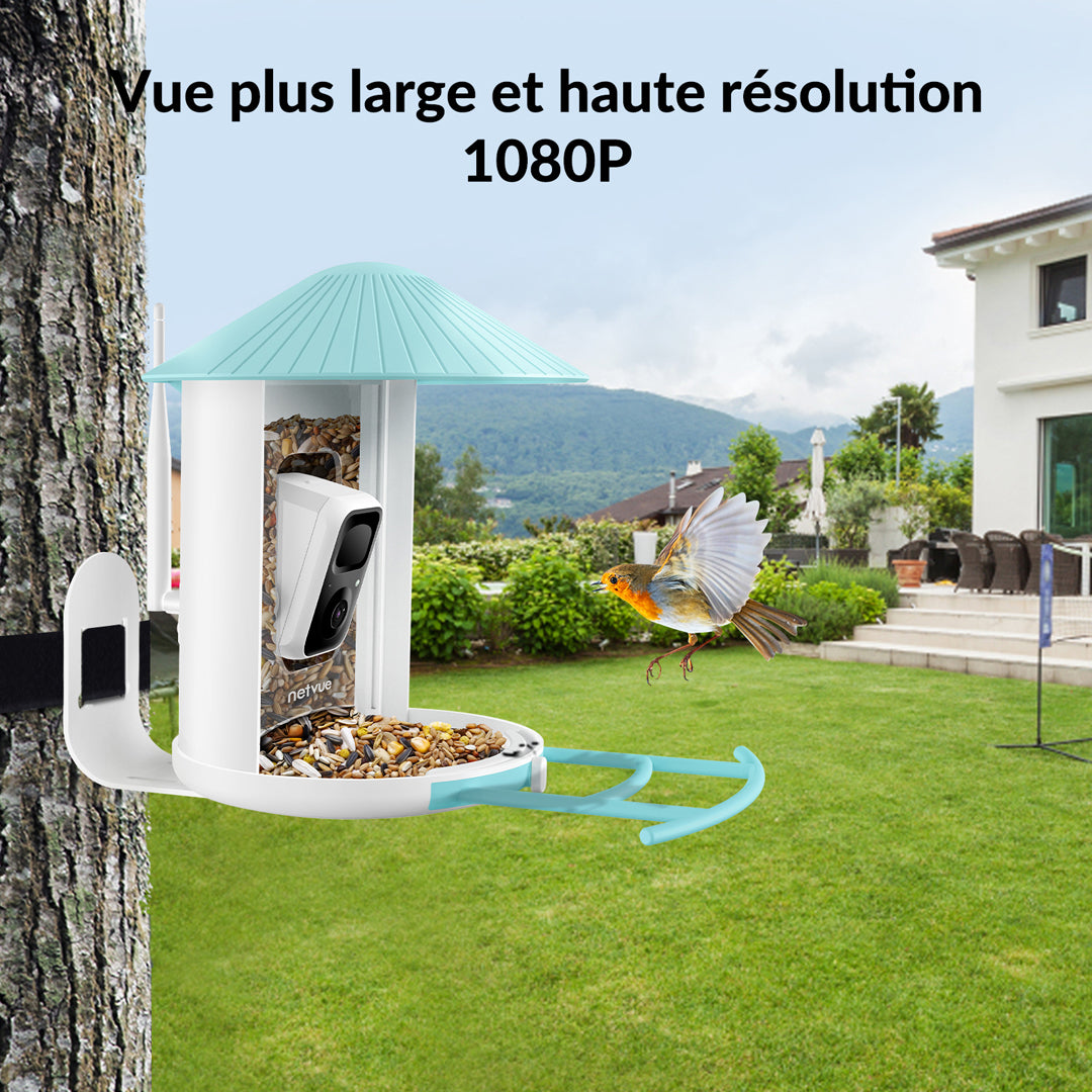 Birdfy Feeder - Mangeoire à Oiseaux avec Caméra