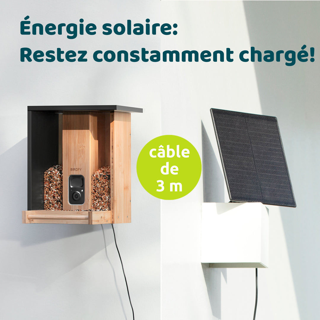 Birdfy Feeder Bamboo - Mangeoire intelligente en matériau éco-responsable