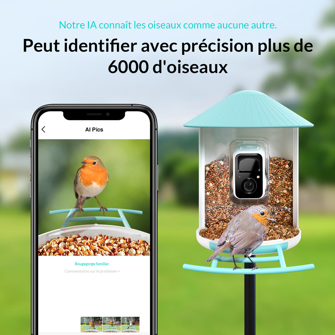 Mangeoire à Oiseaux avec Caméra et Panneaux Solaires, IA en Option