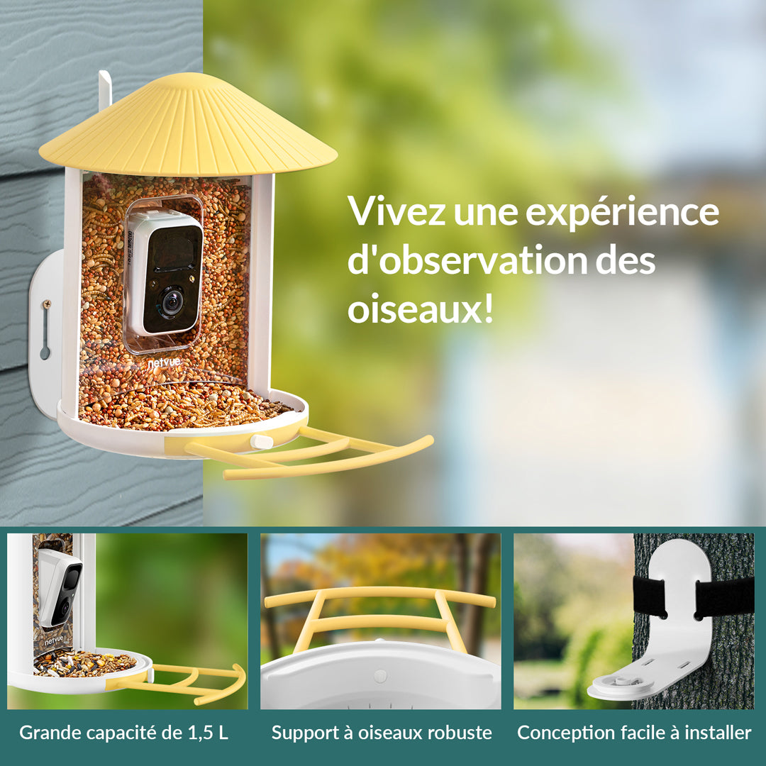 Birdfy Feeder - Mangeoire à Oiseaux avec Caméra