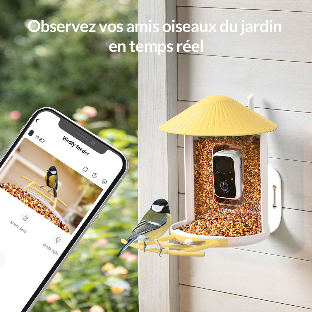 Birdfy Feeder avec panneau solaire - Mangeoire à Oiseaux avec Caméra