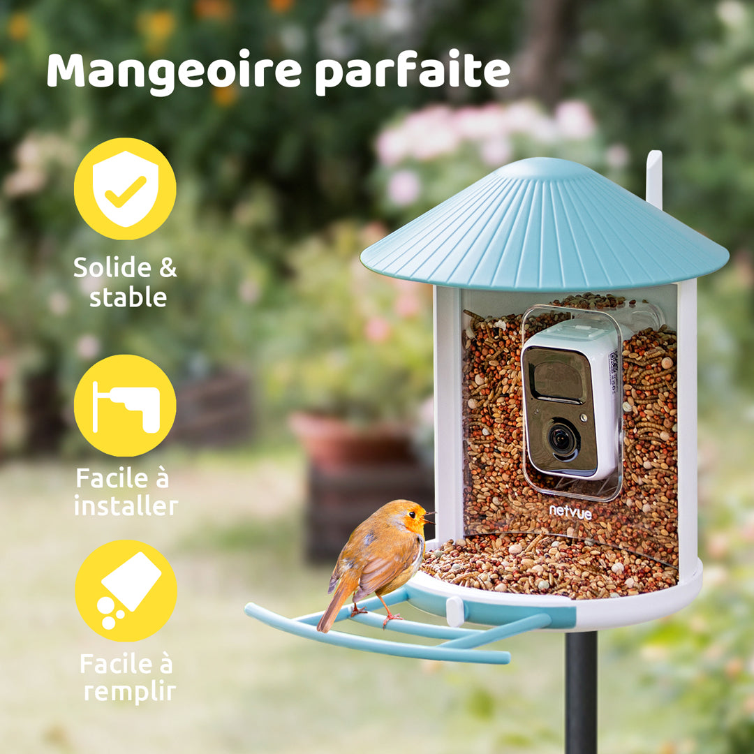 Mangeoire à Oiseaux avec Caméra et Panneaux Solaires, IA en Option