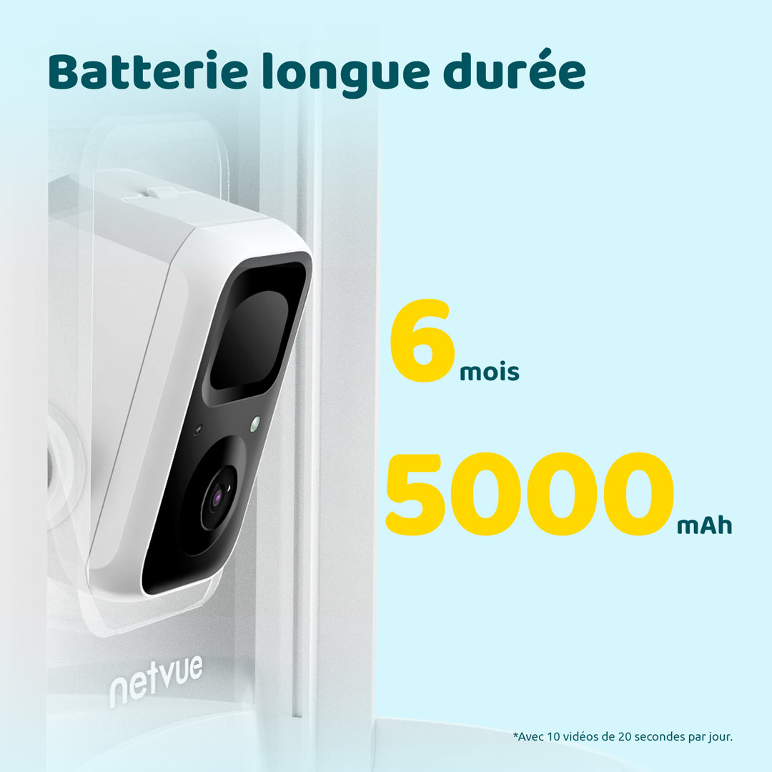 Birdfy Feeder avec panneau solaire - Mangeoire à Oiseaux avec Caméra