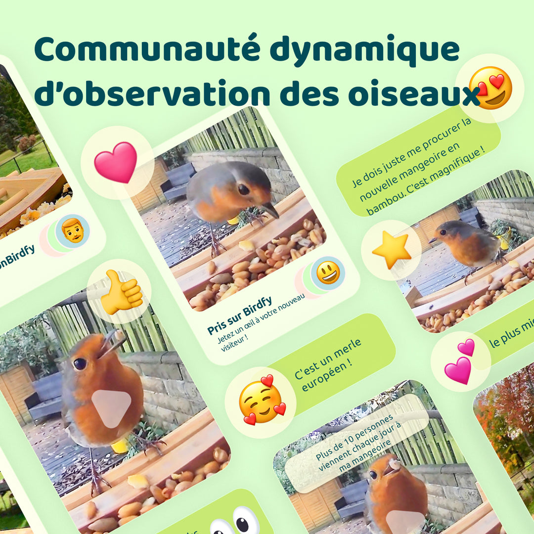 Birdfy Mangeoire à Oiseaux en Bambou avec Caméra et Panneau Solaire