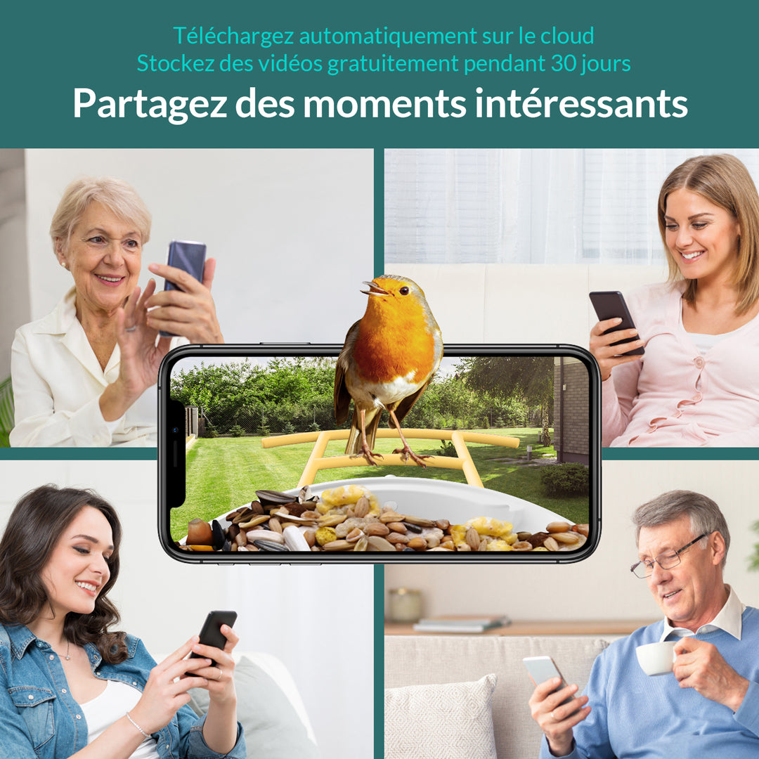 Birdfy Feeder avec panneau solaire - Mangeoire à Oiseaux avec Caméra
