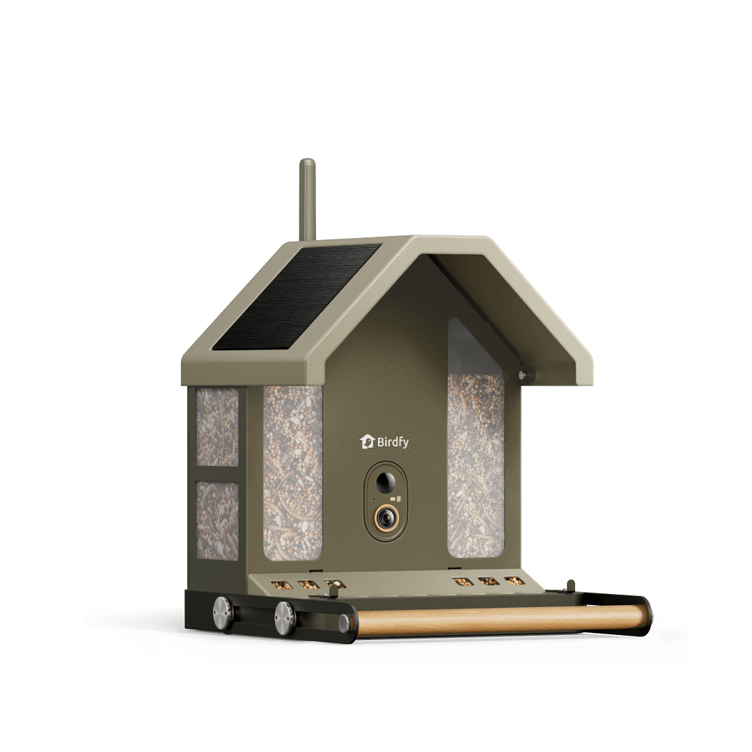 Birdfy Feeder Metal 2 - Mangeoire Métallique Anti‑Rongement 4K Pour Oiseaux