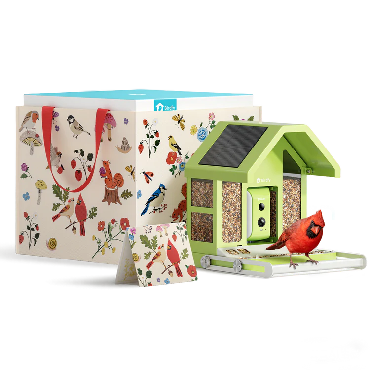 Birdfy Feeder Metal - Mangeoire à Oiseaux avec Caméra (Édition Cadeau)