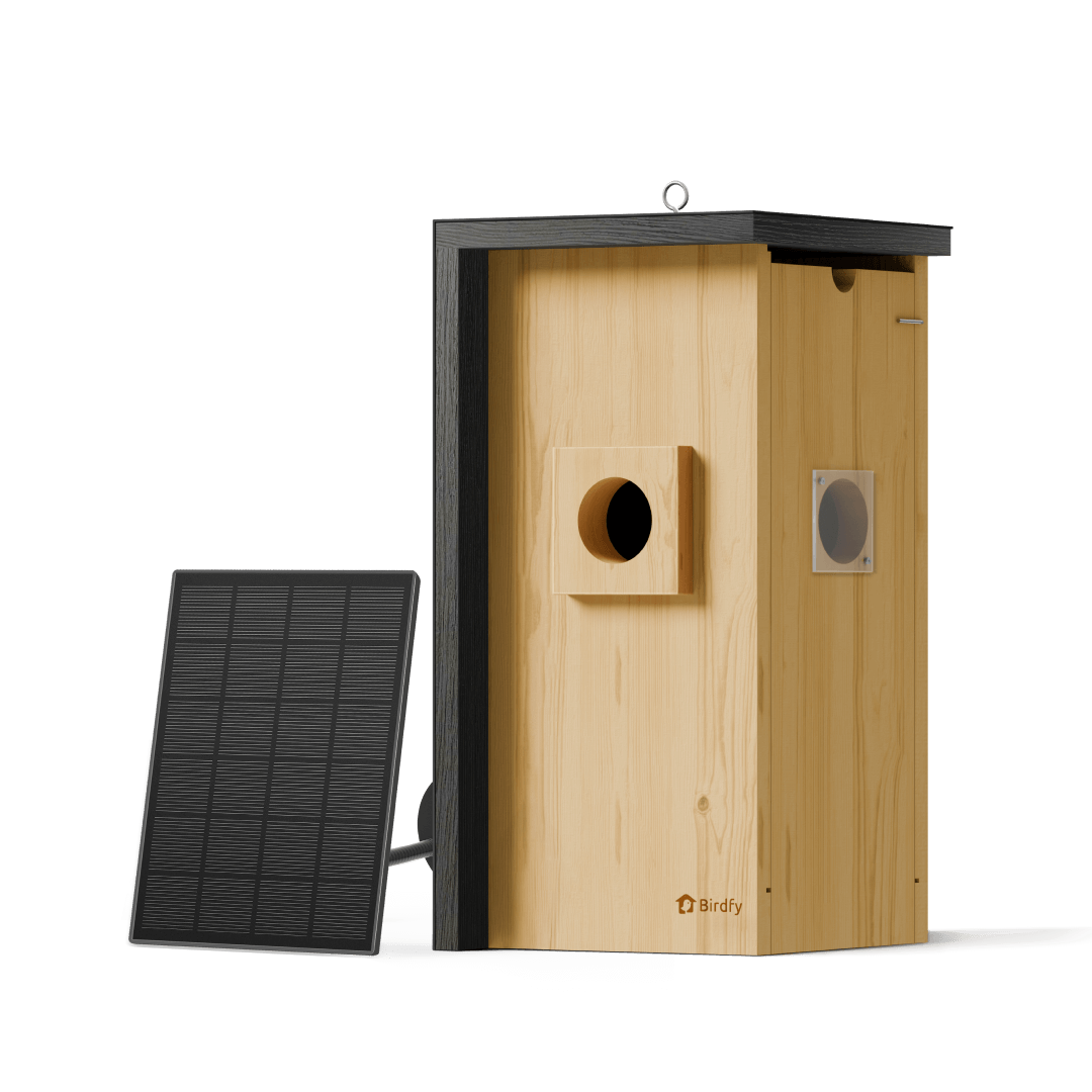 Birdfy Nest - Maison à Oiseaux Intelligente en Bois avec Caméra