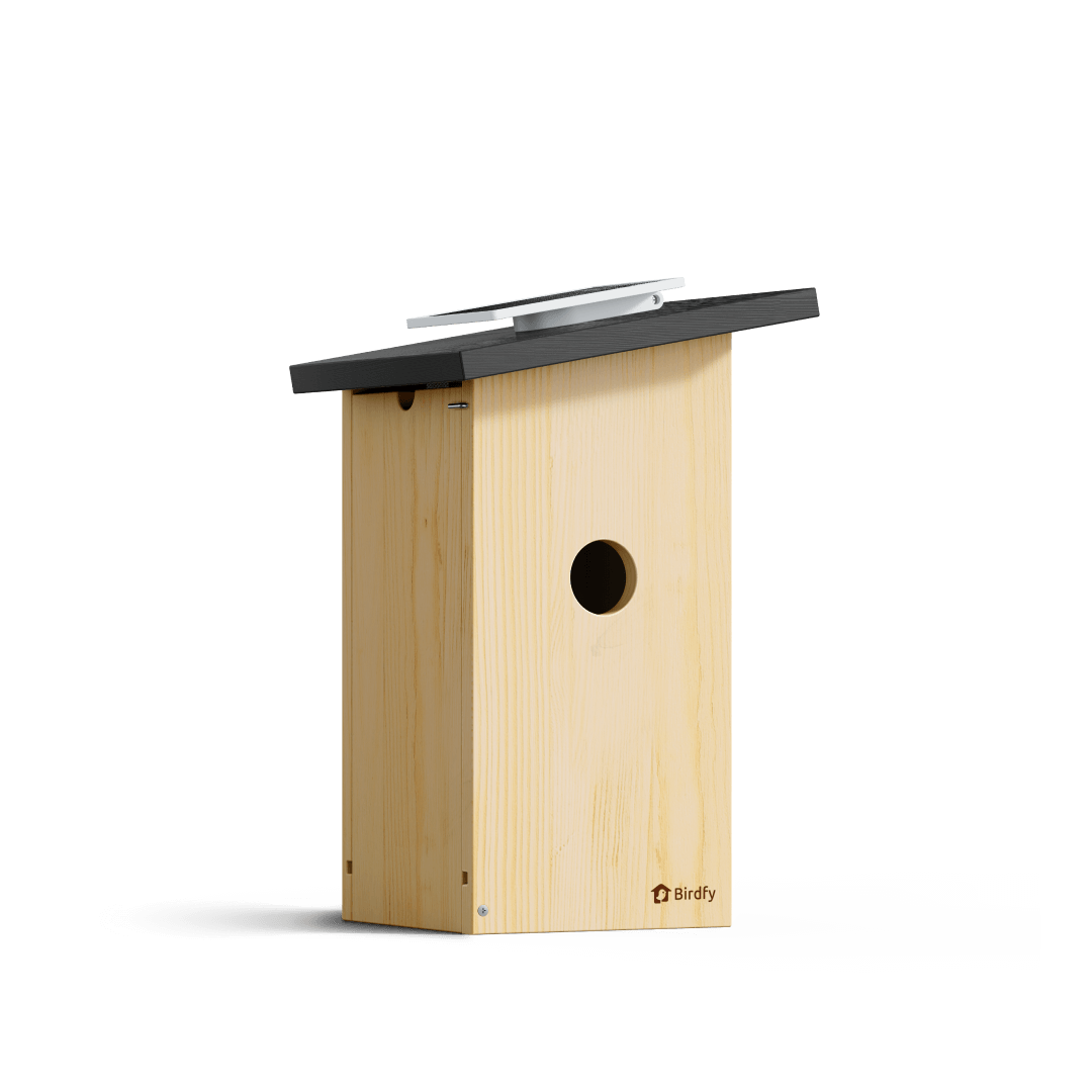 Birdfy Nest Ebony – Cabane à Oiseaux Intelligente en bois