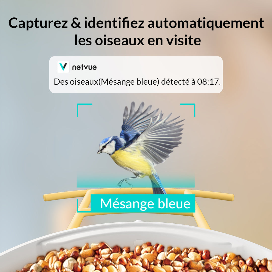 Mangeoire à Oiseaux avec Caméra et Panneaux Solaires, IA en Option